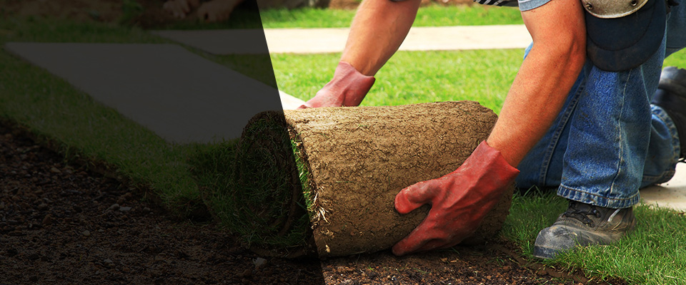 Poquoson Landscapers